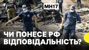 РФ визнали відповідальною за збиття MH17 | Батько загиблого про реакцію Росії