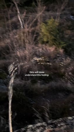 Peak male experince. #viral #hike #sunset 