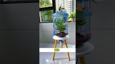 Quest'uomo è molto intelligente!