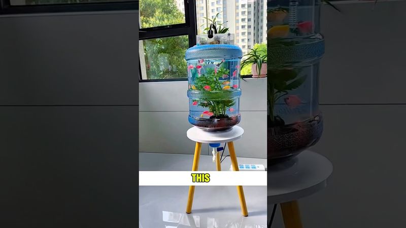 This man is very clever!