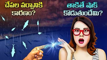 Top 50 Facts in Telugu | Fish rain reason | Why do we get shock when we touch | Telugu Facts