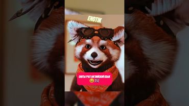 Еноты учат английский язык 😆🇬🇧  #енотикпаша #енотовскаябанда #юмор #shorts #рекомендации