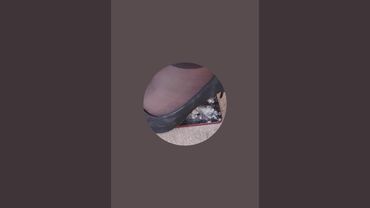 Crushing heels  está en vivo