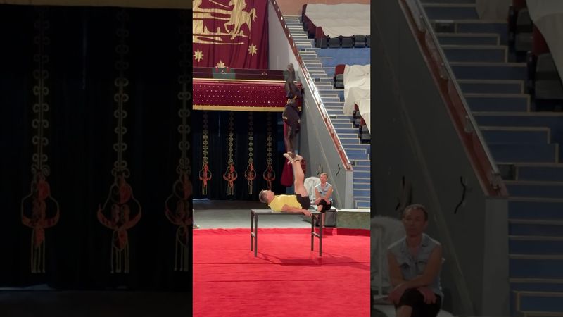 Ты Не Поверишь Что Эта Обезьяна Умеет Делать!