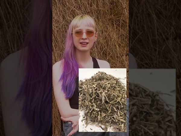 #українськамова #українськакультура #язичництво