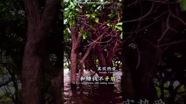 《上班不是賺錢》你們總覺得，上班就是賺錢。我告訴你，這根本是兩碼事！ 別再去找工作了，找工作是本世紀最大的騙局-下集 #思維 #認知 #人生感悟 #正能量 #打工人 #打工模式 #賺錢方法 #上班族