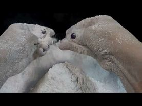 #gymchalkasmr #chalk Crunchy Chalk Crushing asmr with Powder Play #asmrsounds