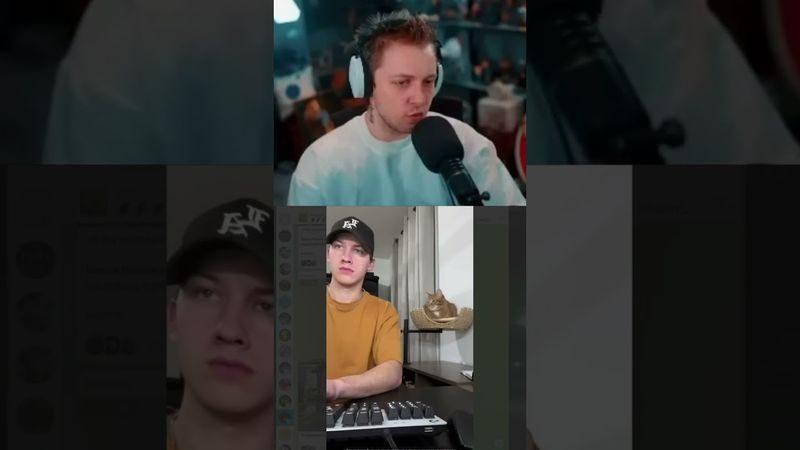 каждому кошатнику #стинт #stint #stintik #прикол #реакция