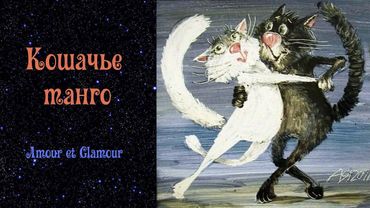 Кошачье танго.  Amour et Glamour