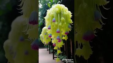 Неземная красота