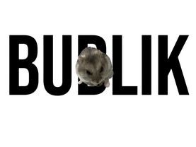 #CapCut #bublik #myhamster #hamsters #edit 