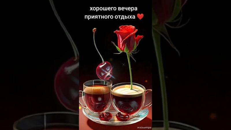 Добрый вечер♥️ Всего самого наилучшего в этот вечер♥️😍