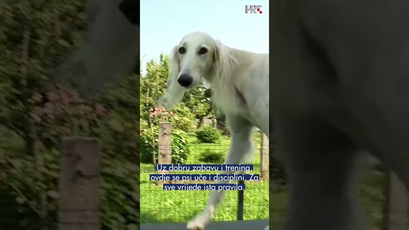 Otvoren 'Pesek park'