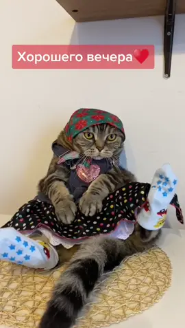 Вася актёр😍#bellaforteens  #рим #котикток #вася  #рекомендации #10000...