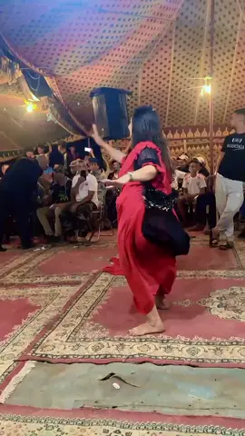 TikTok video #7548434997745683733