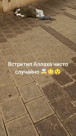 шок Аллах 🤯🤯🤯🤯
