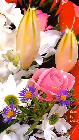 #снаступающим8марта