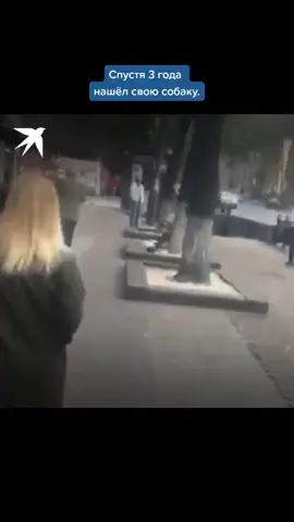 TikTok video #7048927708247575810