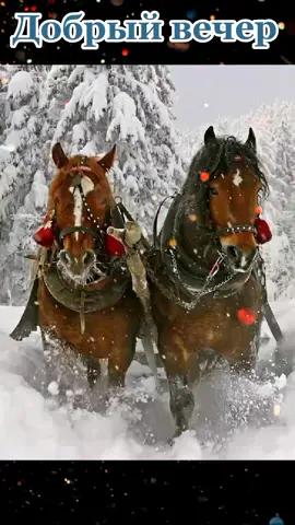 ####Добрый  вечер друзья ❄️❄️❄️❄️❄️❄️❄️❄️❄️❄️❄️❄️❄️❄️❄️❄️❄️❄️❄️❄️❄️❄️...