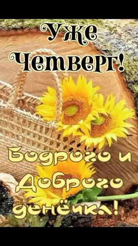 TikTok video #7016158933475691778