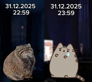 ТГК:Corraaa!!🌸 #манул #пушин #тренд #2026 #медветь2026 #мем2026 #ману...