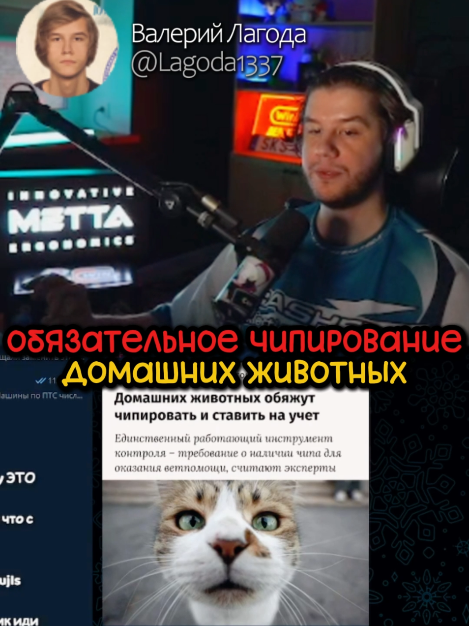 В России готовится закон об обязательном чипировании домашних животны...