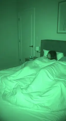 Katze spielt Banjo mitten in der Nacht #witzig #lustig #spaß 