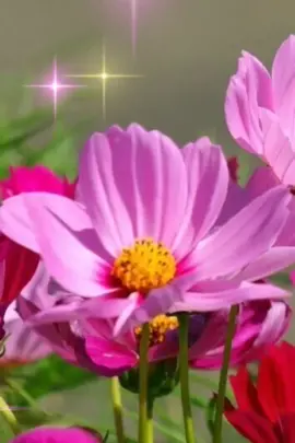 #сднёмматери🥰🥰🥰❤️💐 атери #мамыдлявас