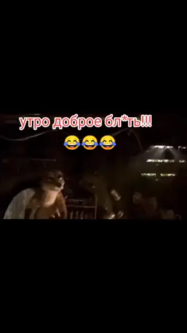 утро доброе !!!😂😂😂#утродоброе #вечердобрый 😂😂😂