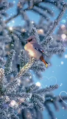 #доброеутрочудесногодня🥰🥰🥰 #спервымднемфевраля❄❄❄ #отличноговсемнастр...