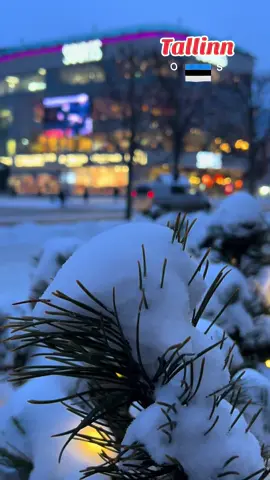 #tallinn #estonia🇪🇪 #январь2026 #снежок #таллинтикток 