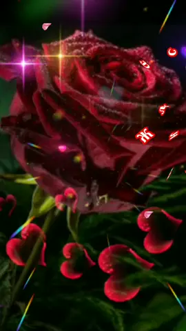 #поздравляювТикТок