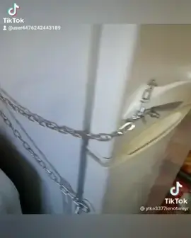 Енот стащил яйца#забавные животные#енотики #милашки