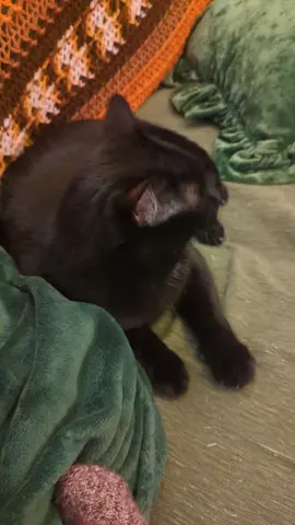 TikTok video #7574653975664807199