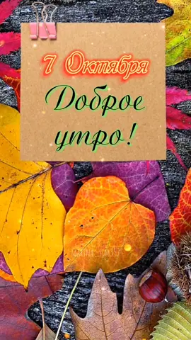 С добрым утром 🌞🍁🍂🍁#7октября #доброе_утро #сдобрымутром