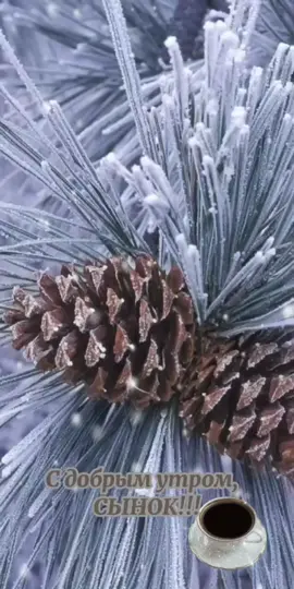 #доброеутро #сынок