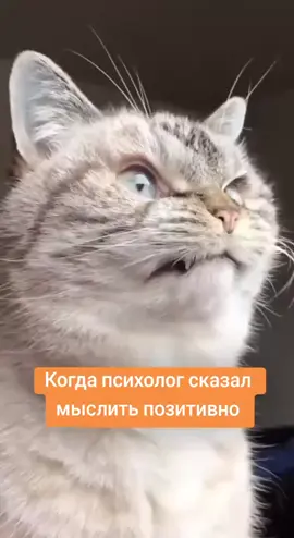 TikTok video #7561711728690597131