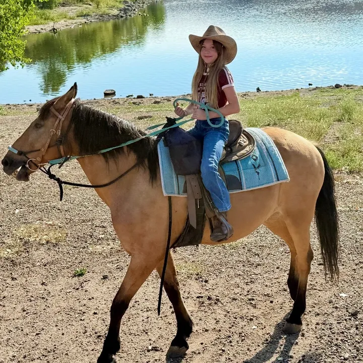 tiktok-live video #7587152497614080798 2025-12-23 20:37