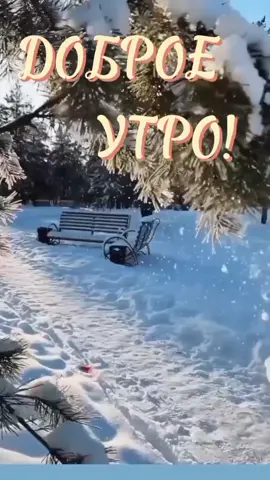 #утро🌷☕ #зима🧤🧣 #любисмейсяживи❤️❤️❤️