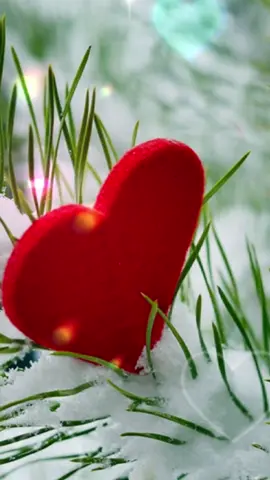 С добрым субботним утром друзья! ❤🕊🙏