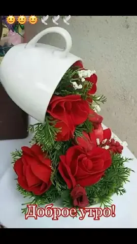 TikTok video #7029914078453730562