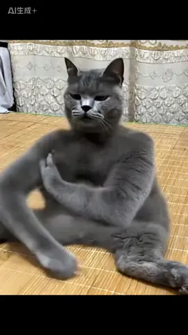 тебе все равно никто не поверит #котчпокает #котпердит #котбьетсебя