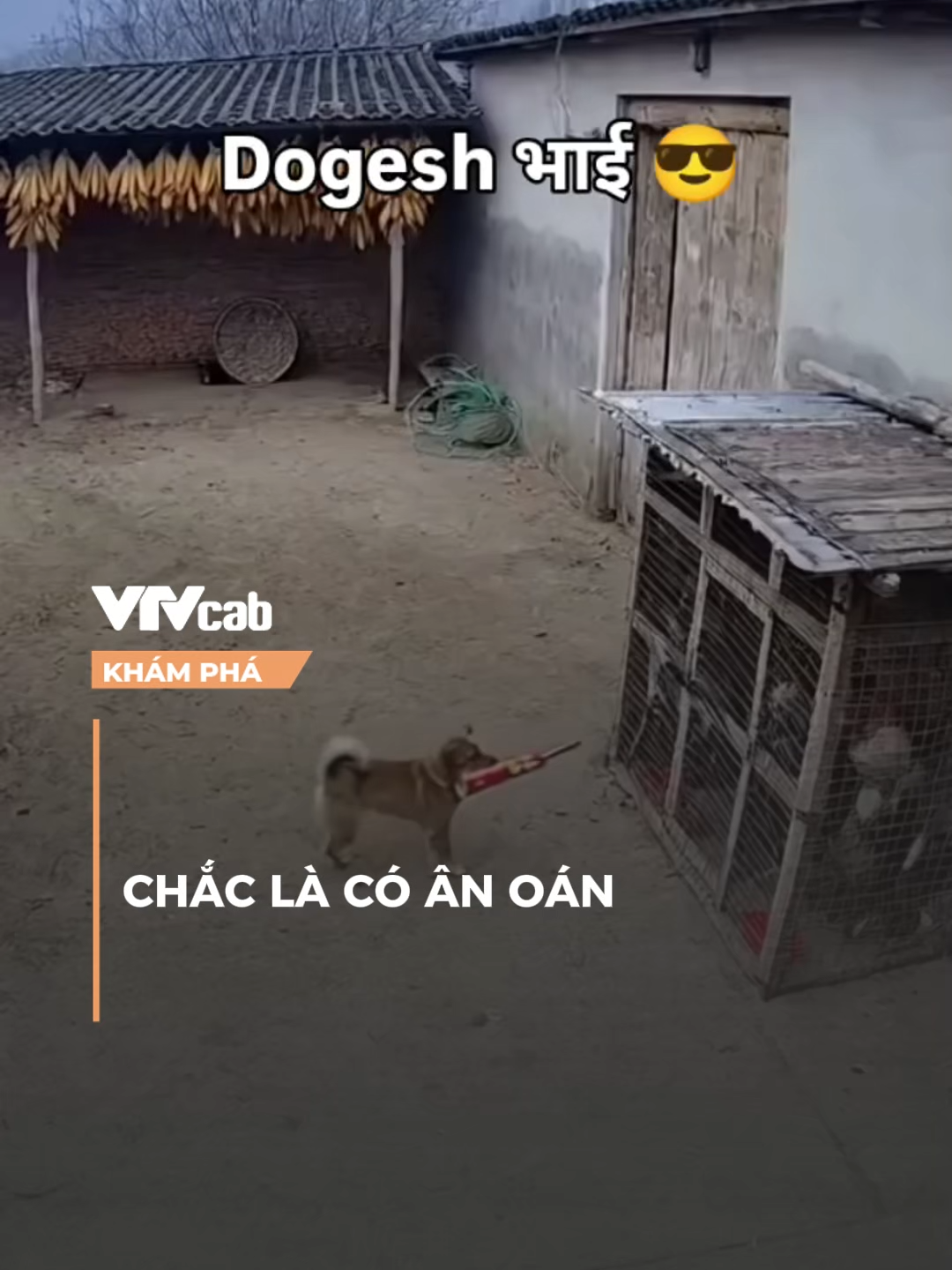 Chắc là có ân oán #vtvcab #khampha #onlive #NDH