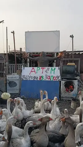 Артём выходи из запоя #рекомендации #рекомендации #топчик 