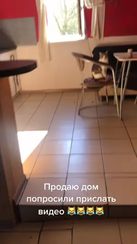 TikTok video #7021805396910263554