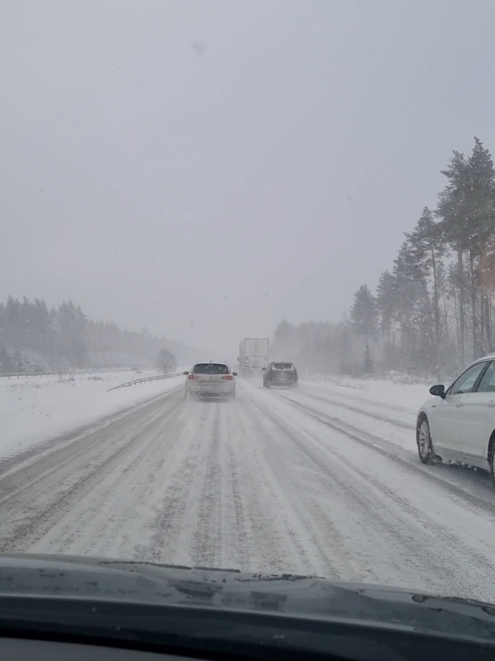 #zviedrija #tik_tok #humor #jokes #laukipilsētā 