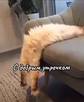 #приколы#цитаты 