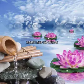 надо зачиллиться🪷