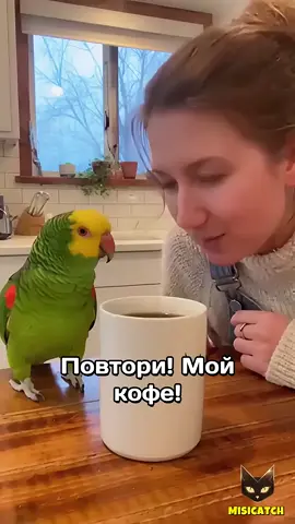 TikTok video #7574355743265082635