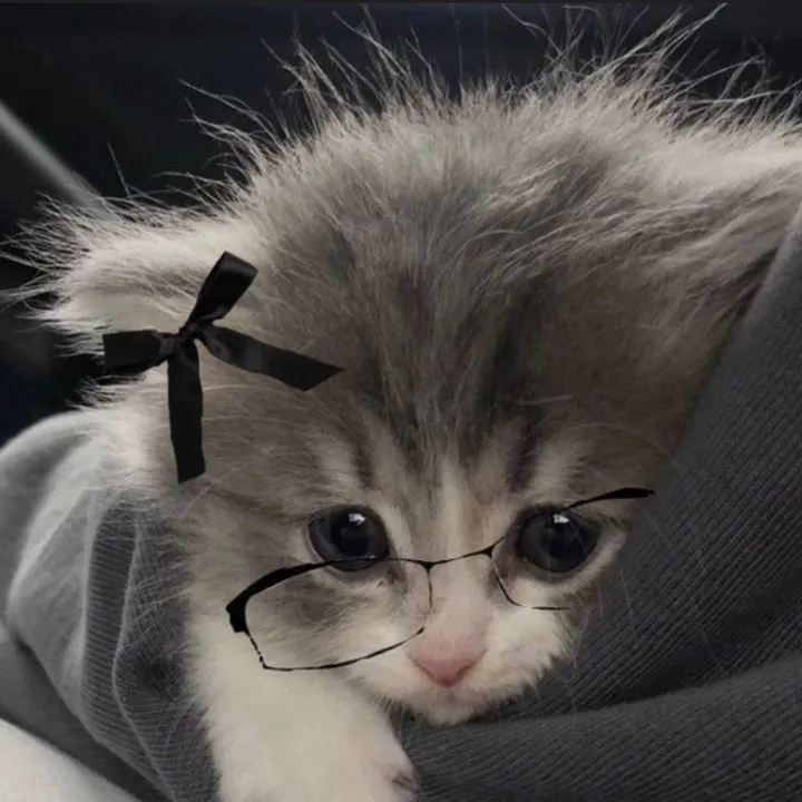 tiktok-live video #7589867151041825550 2025-12-31 04:18